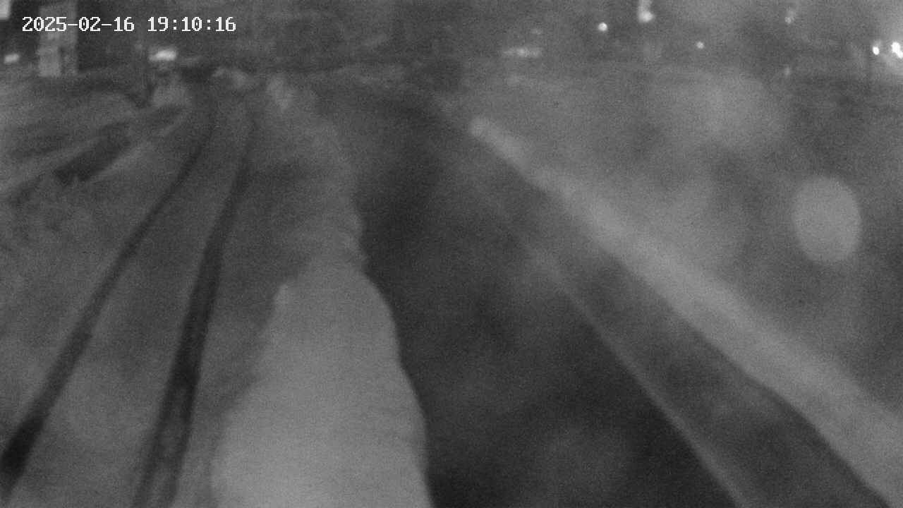 area9-20250216191018.jpg