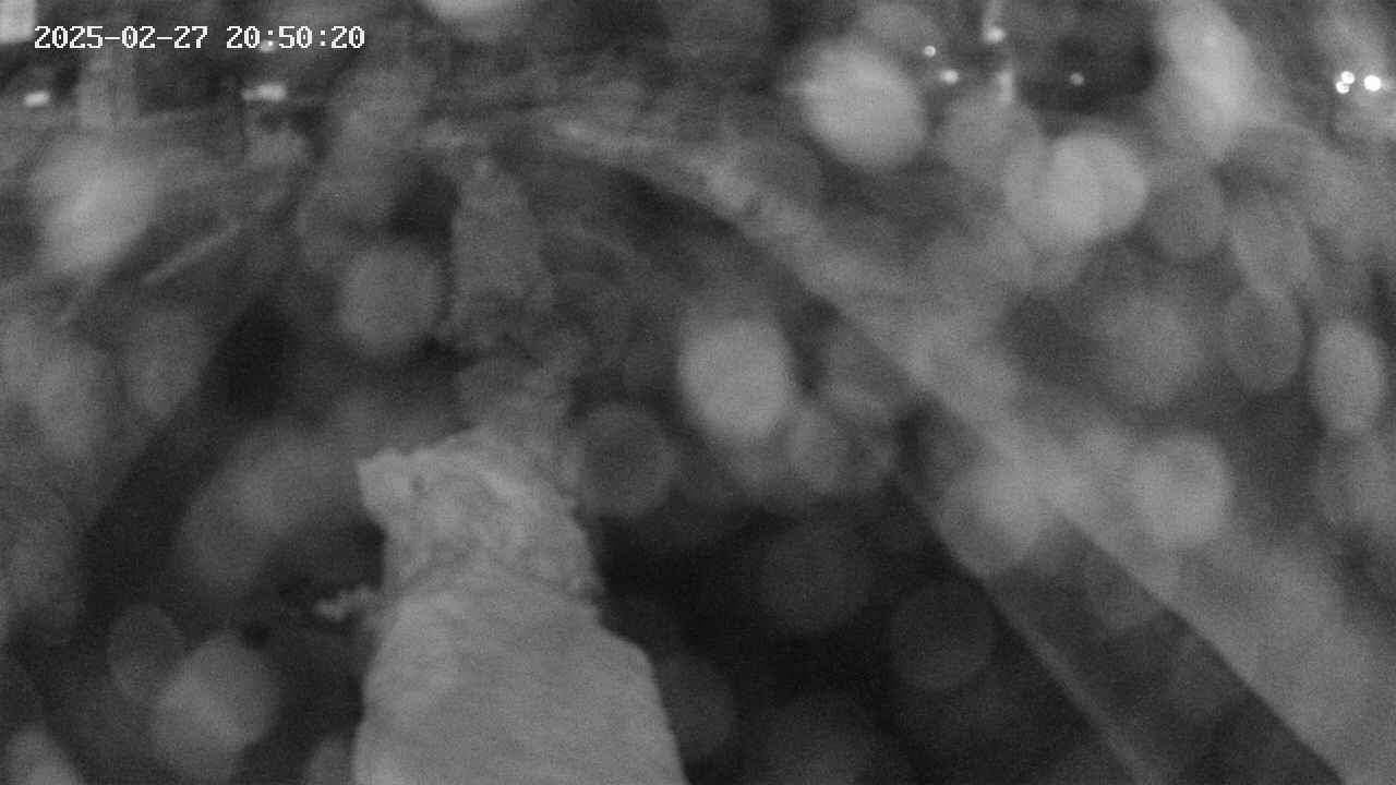 area9-20250227205020.jpg