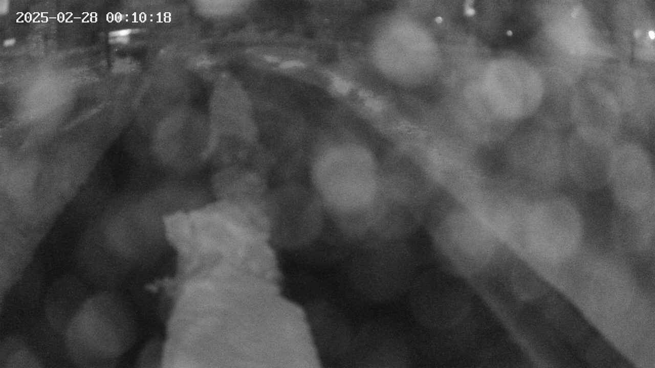area9-20250228001019.jpg