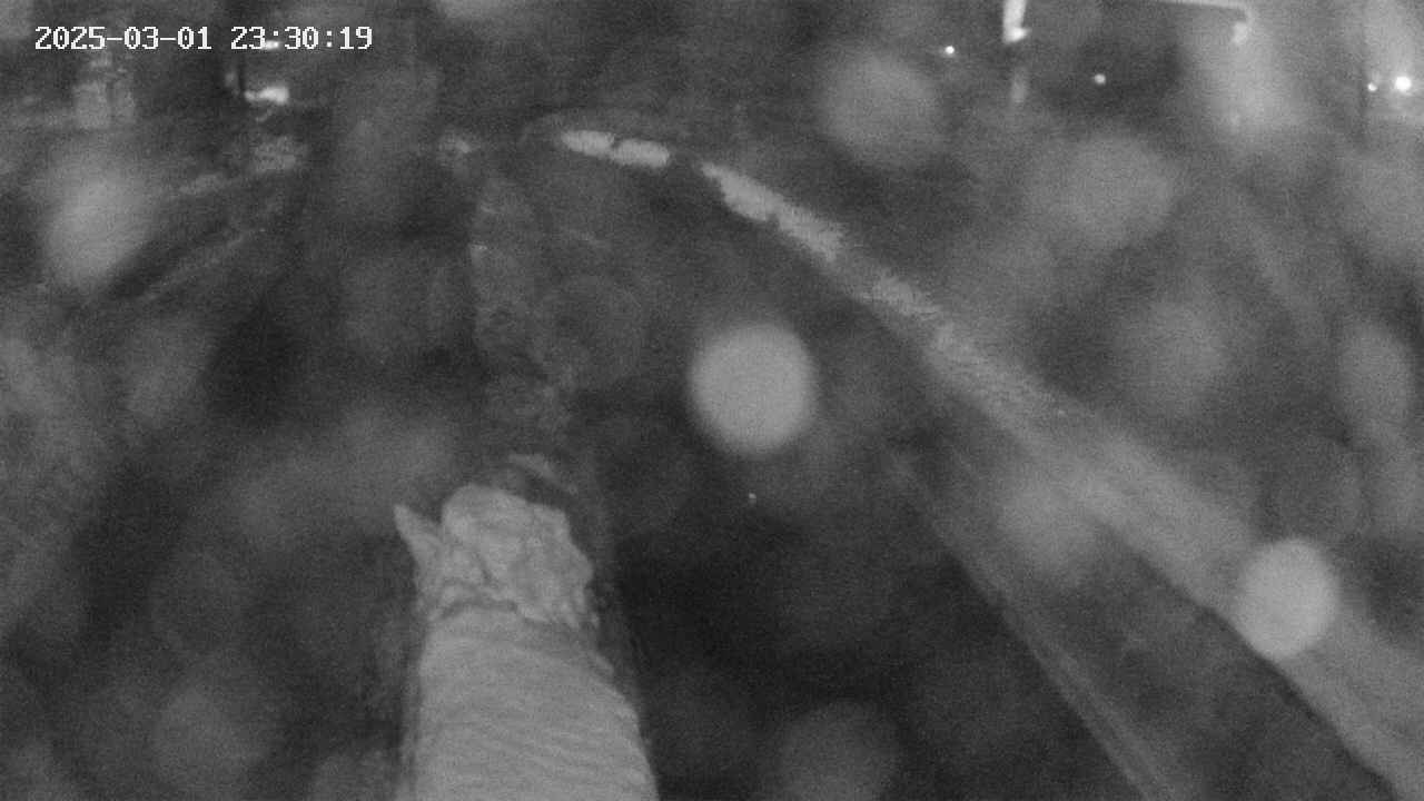 area9-20250301233020.jpg