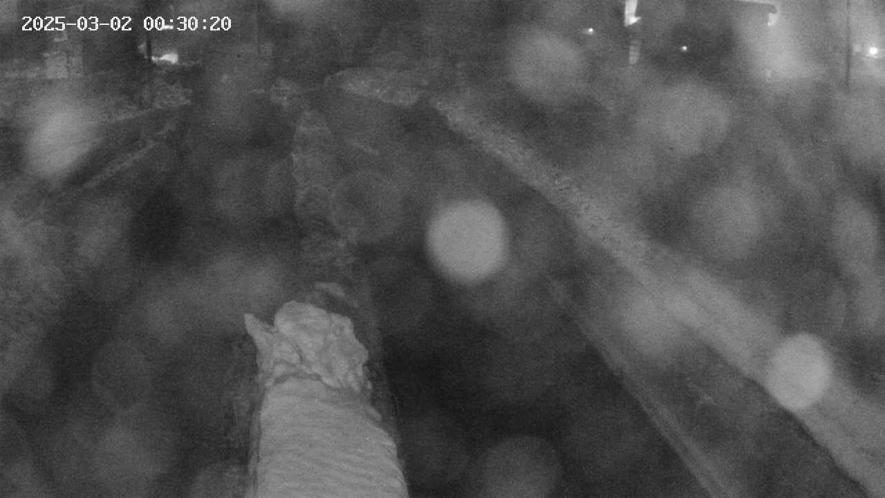 area9-20250302003021.jpg