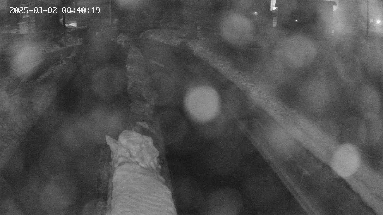 area9-20250302004020.jpg