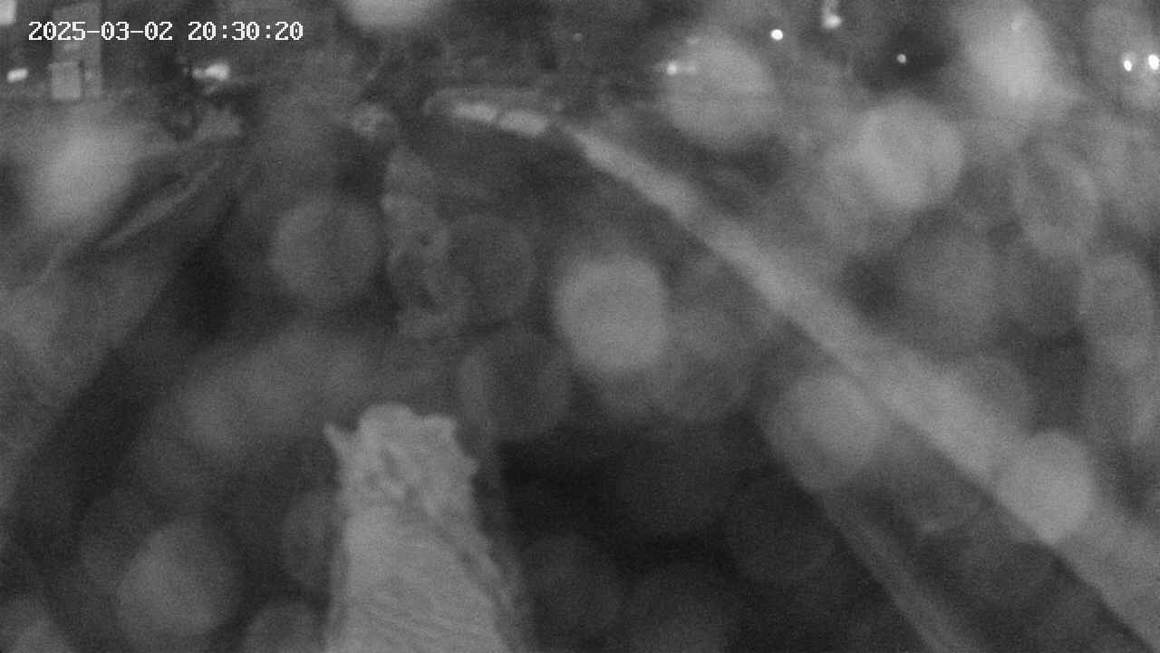 area9-20250302203021.jpg