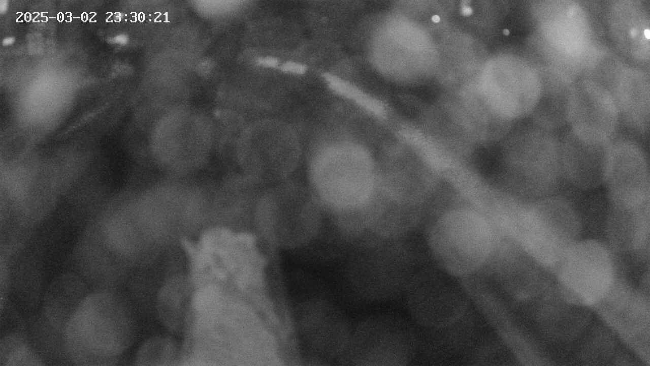area9-20250302233022.jpg