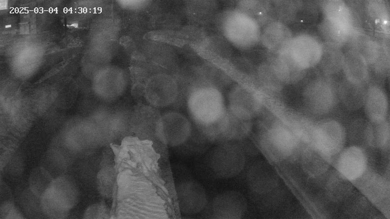 area9-20250304043019.jpg
