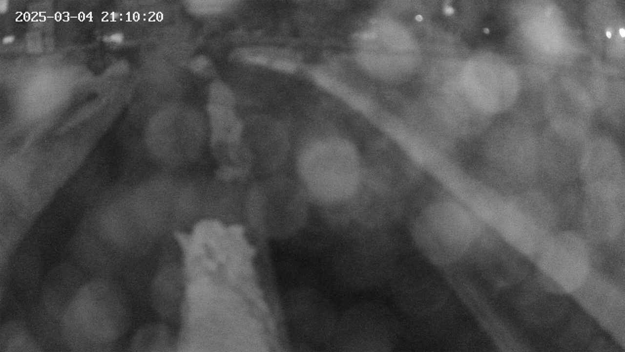 area9-20250304211021.jpg