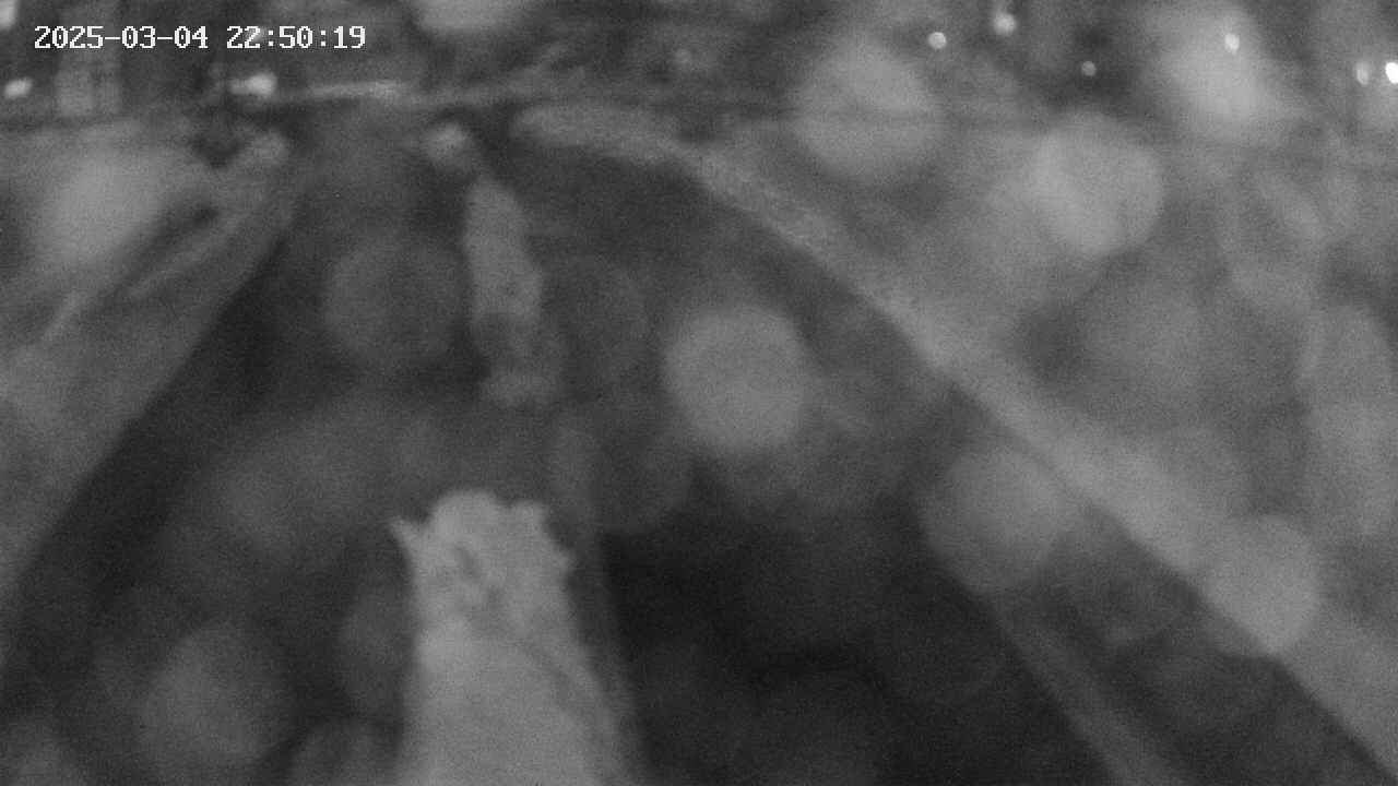 area9-20250304225020.jpg