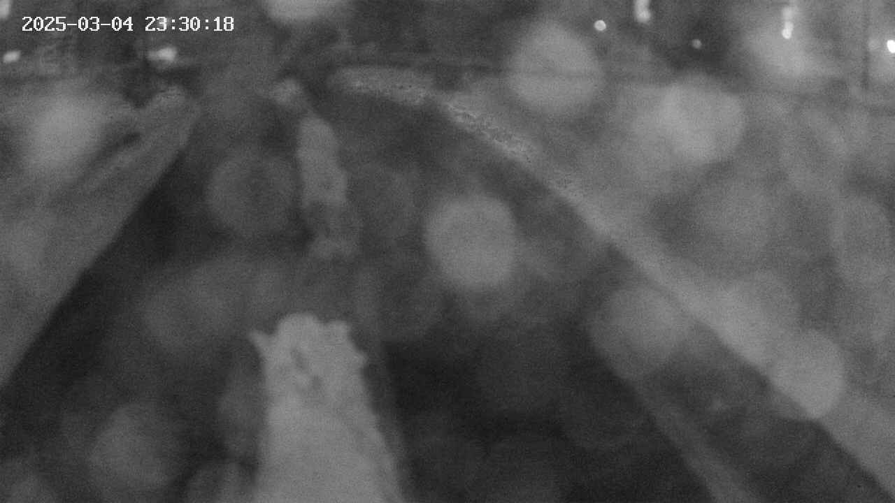 area9-20250304233019.jpg