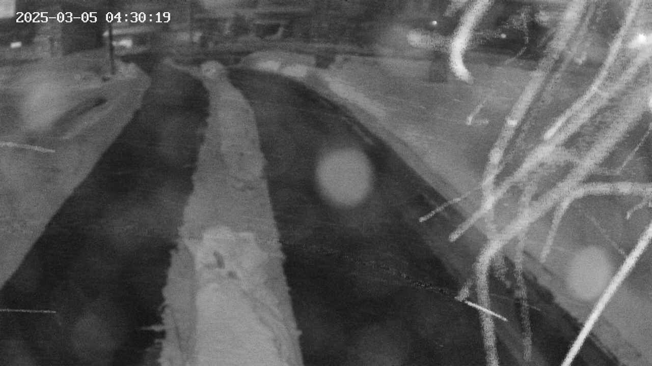area9-20250305043019.jpg