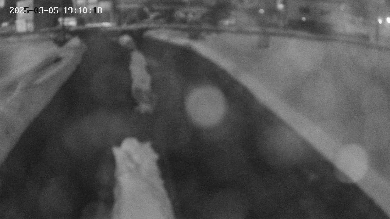 area9-20250305191019.jpg