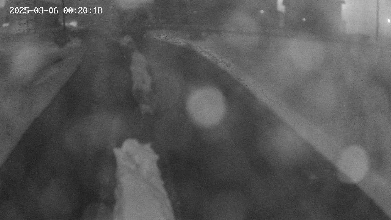 area9-20250306002019.jpg