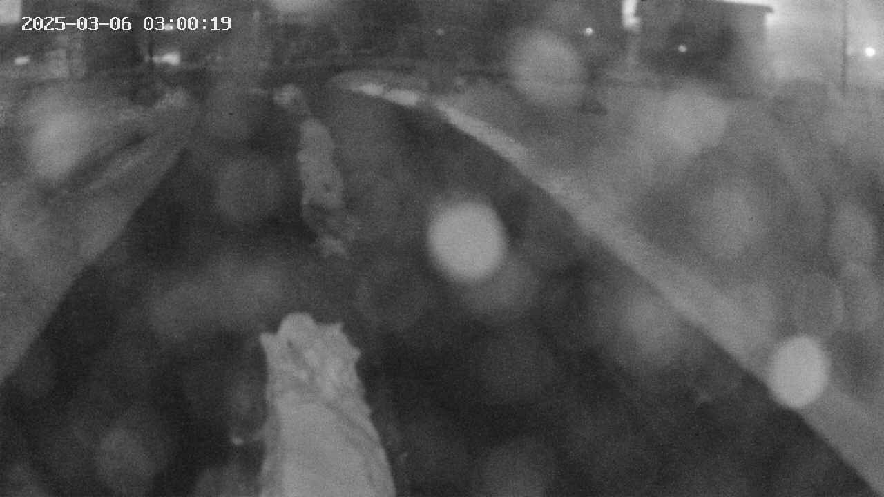 area9-20250306030019.jpg