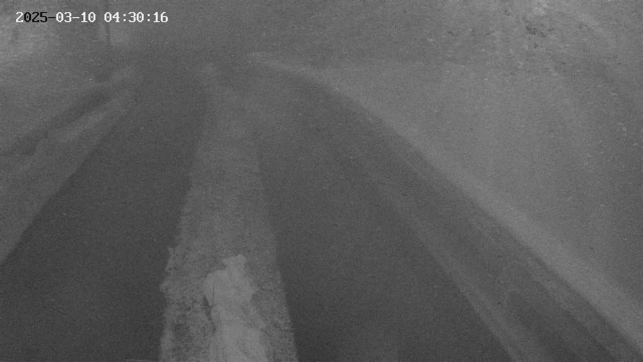 area9-20250310043017.jpg