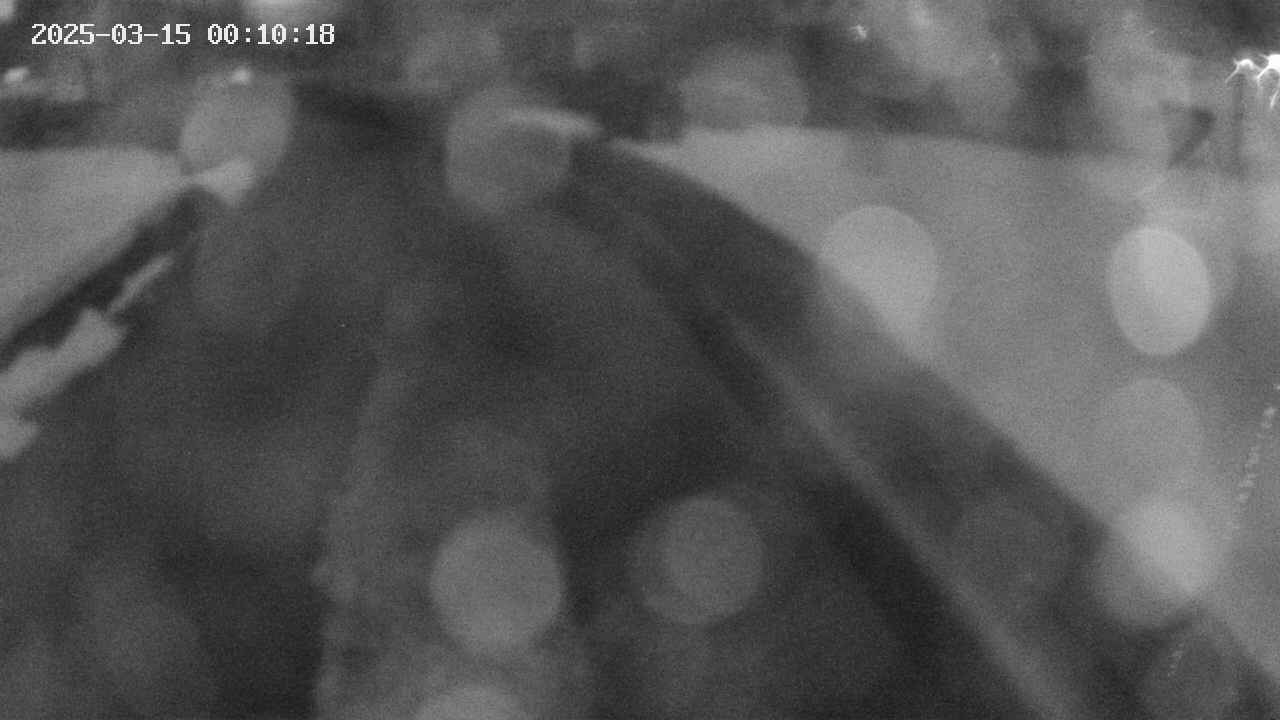 area9-20250315001019.jpg