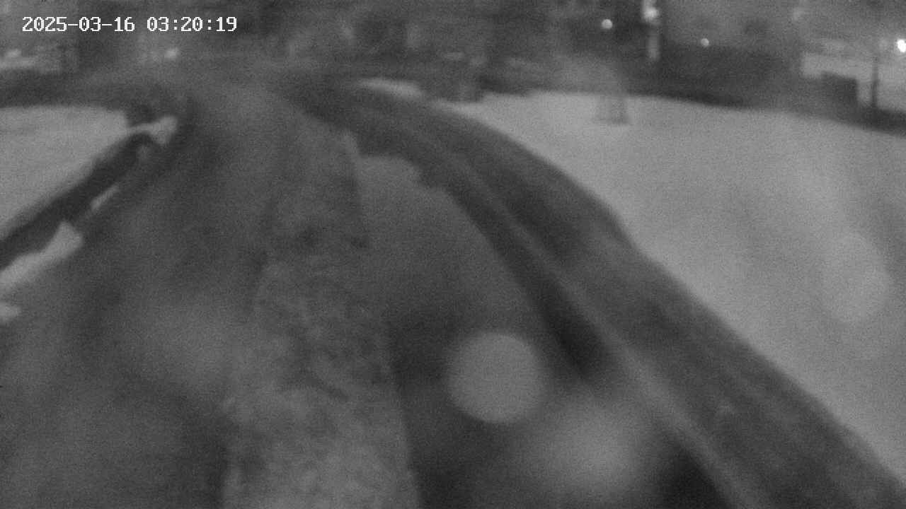 area9-20250316032019.jpg