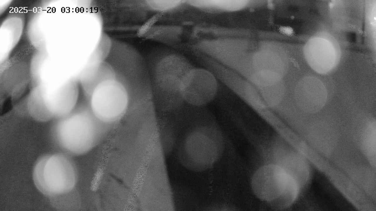 area9-20250320030019.jpg