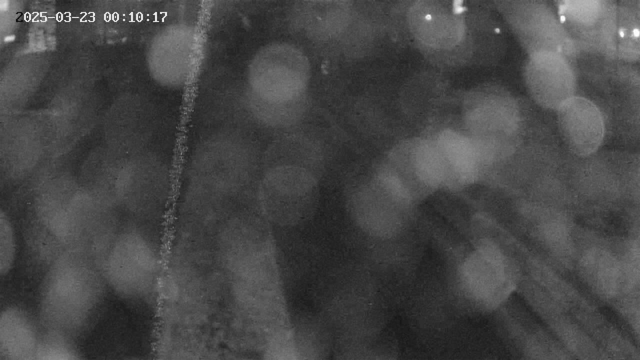 area9-20250323001018.jpg