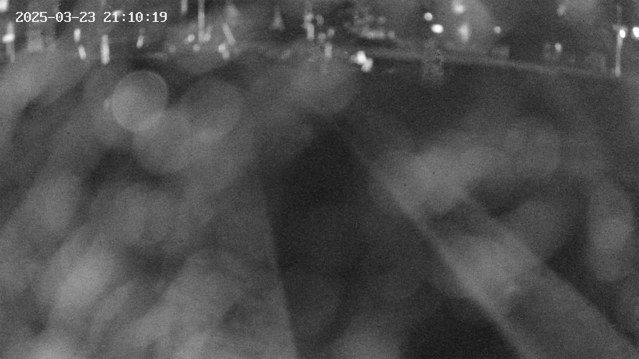 area9-20250323211020.jpg