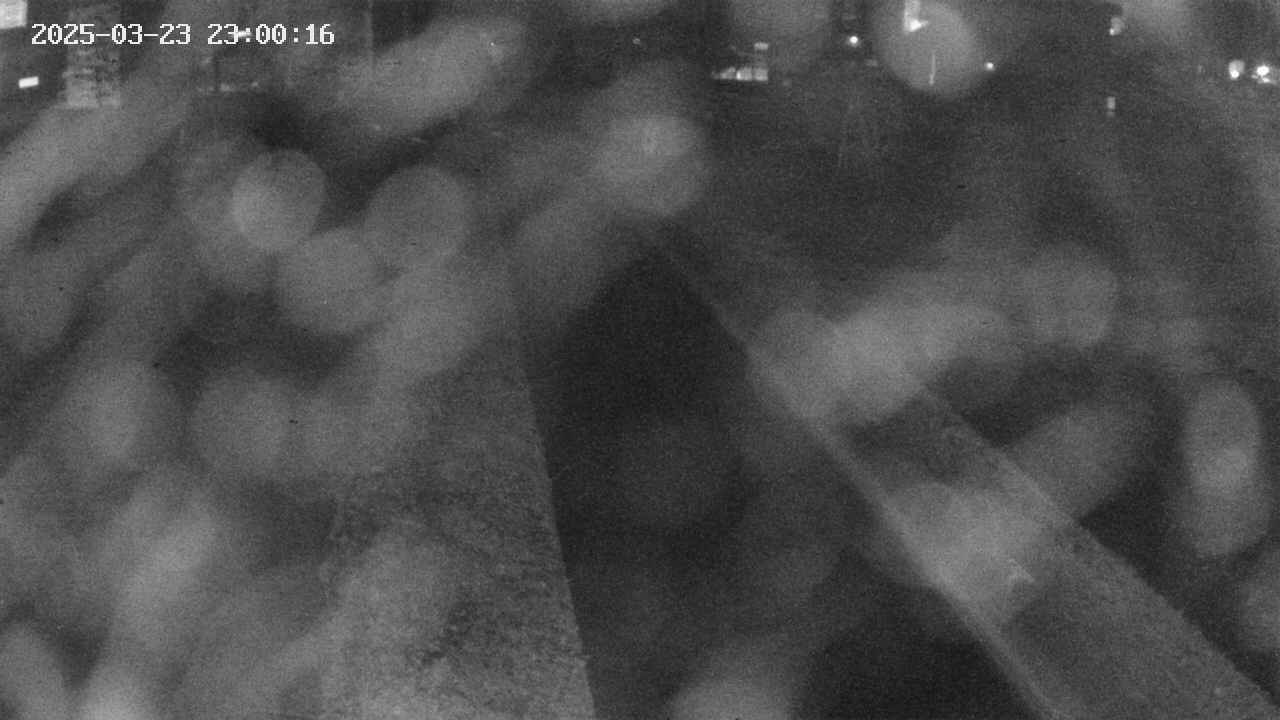 area9-20250323230017.jpg