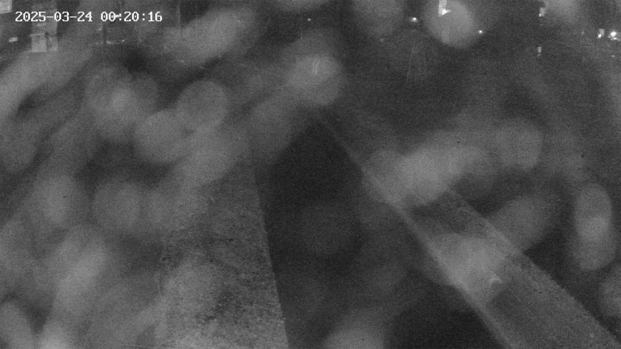 area9-20250324002017.jpg