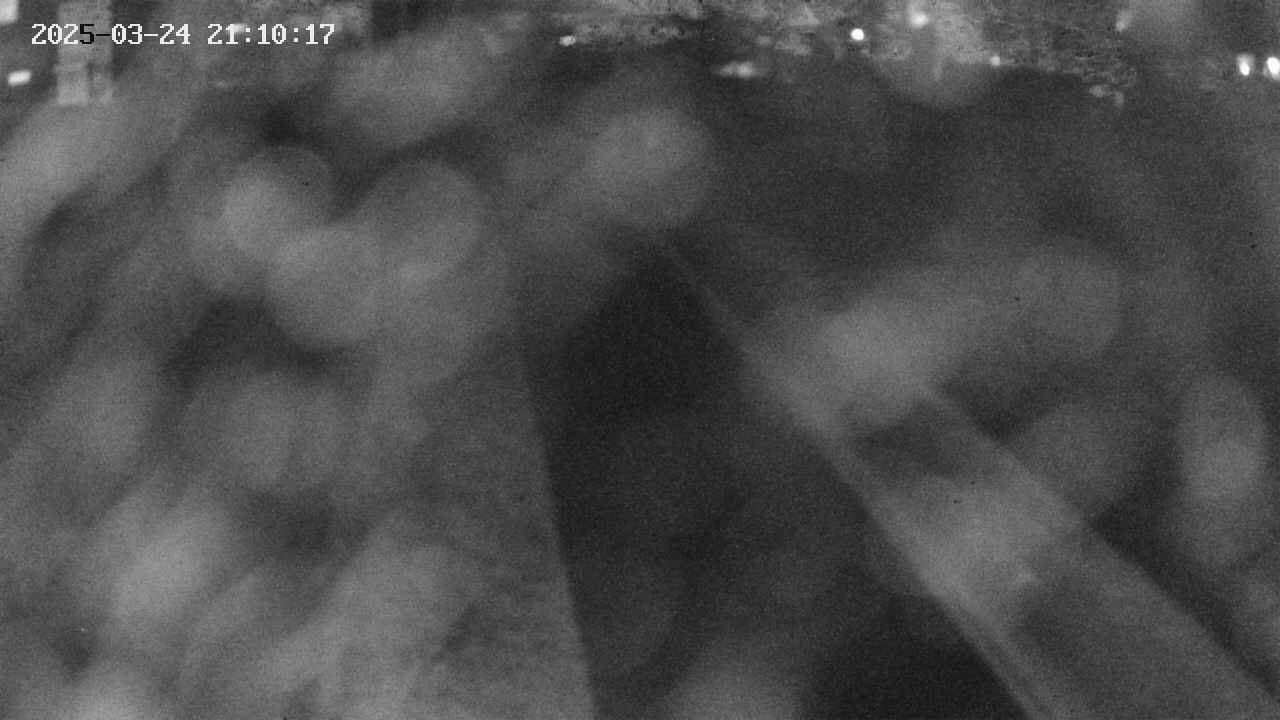 area9-20250324211018.jpg