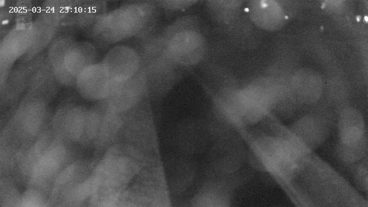area9-20250324231017.jpg