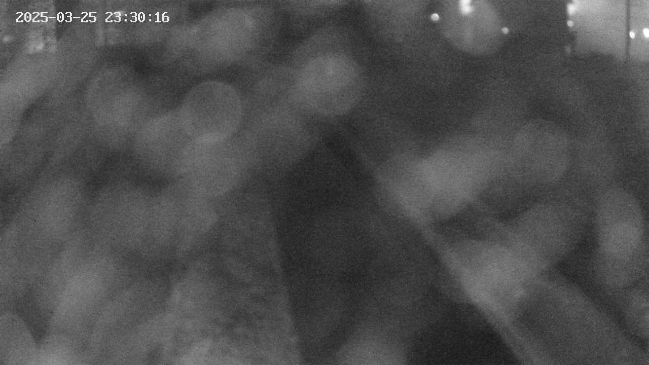 area9-20250325233018.jpg