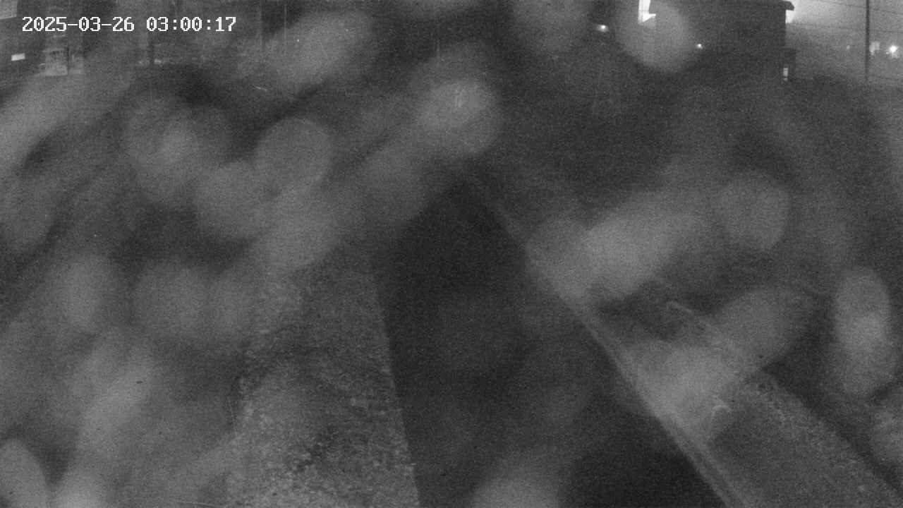area9-20250326030019.jpg