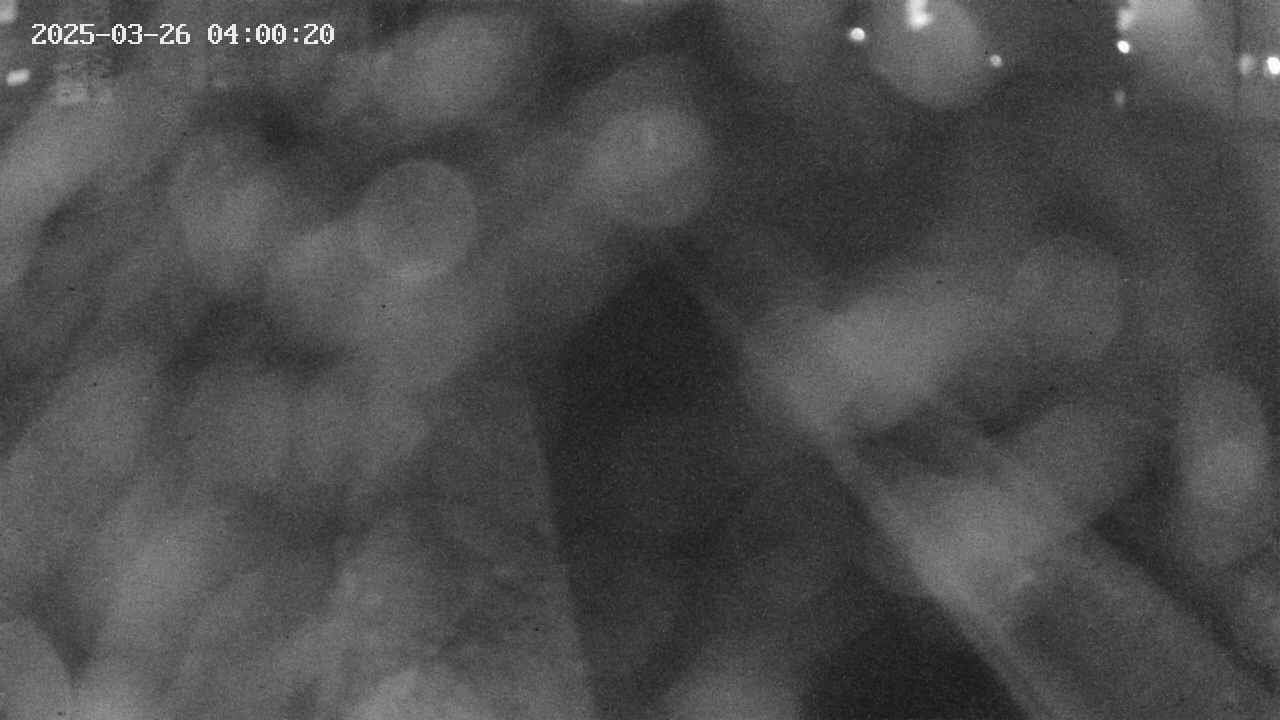 area9-20250326040021.jpg