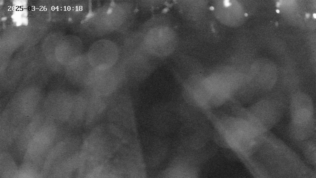area9-20250326041018.jpg