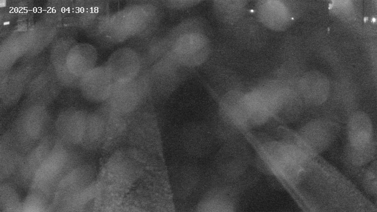 area9-20250326043019.jpg