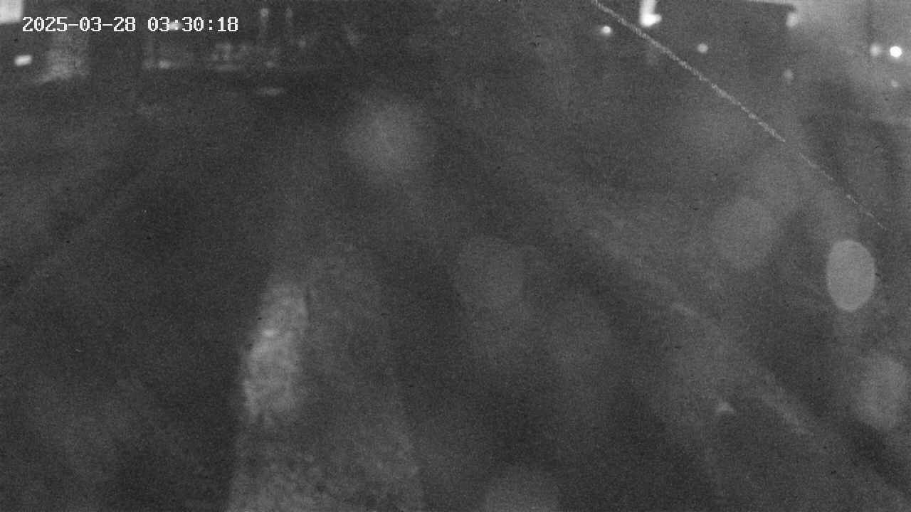 area9-20250328033018.jpg