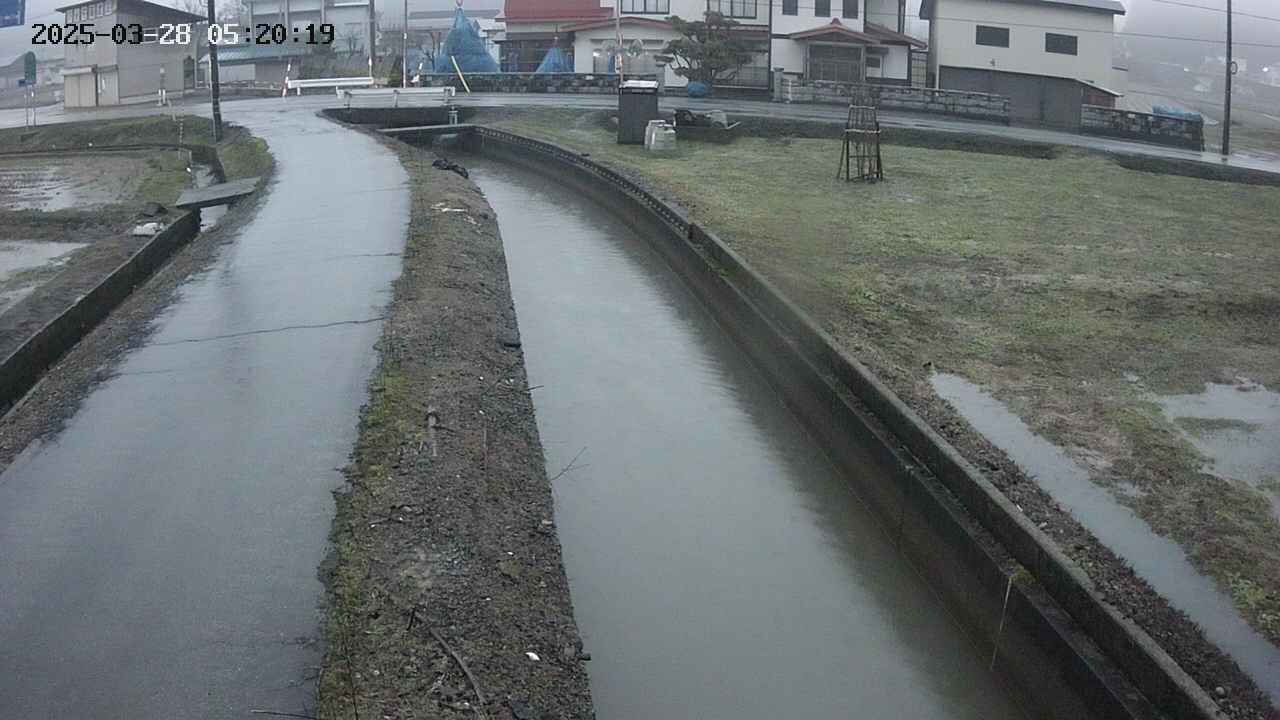 area9-20250328052019.jpg