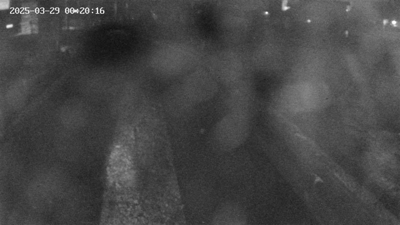 area9-20250329002017.jpg