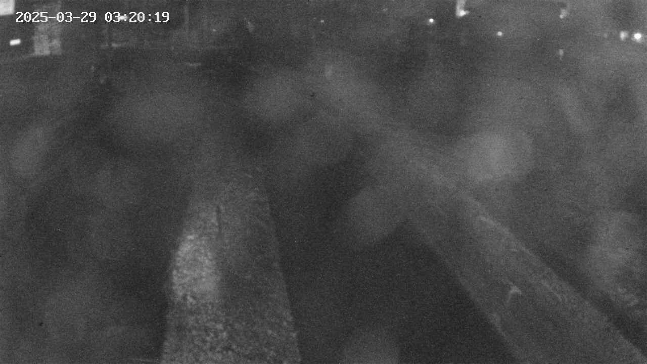 area9-20250329032019.jpg