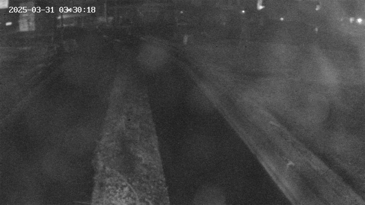 area9-20250331033018.jpg