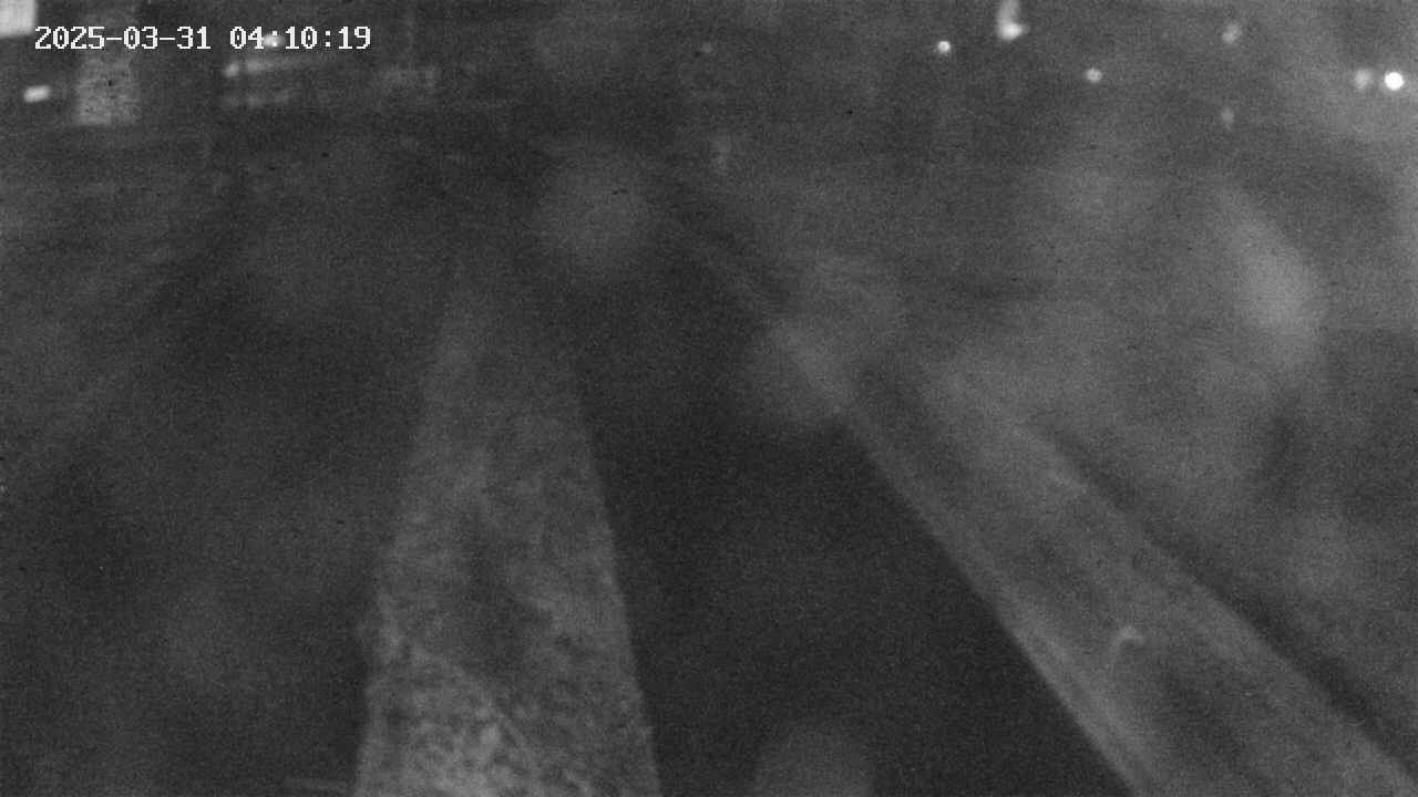 area9-20250331041019.jpg