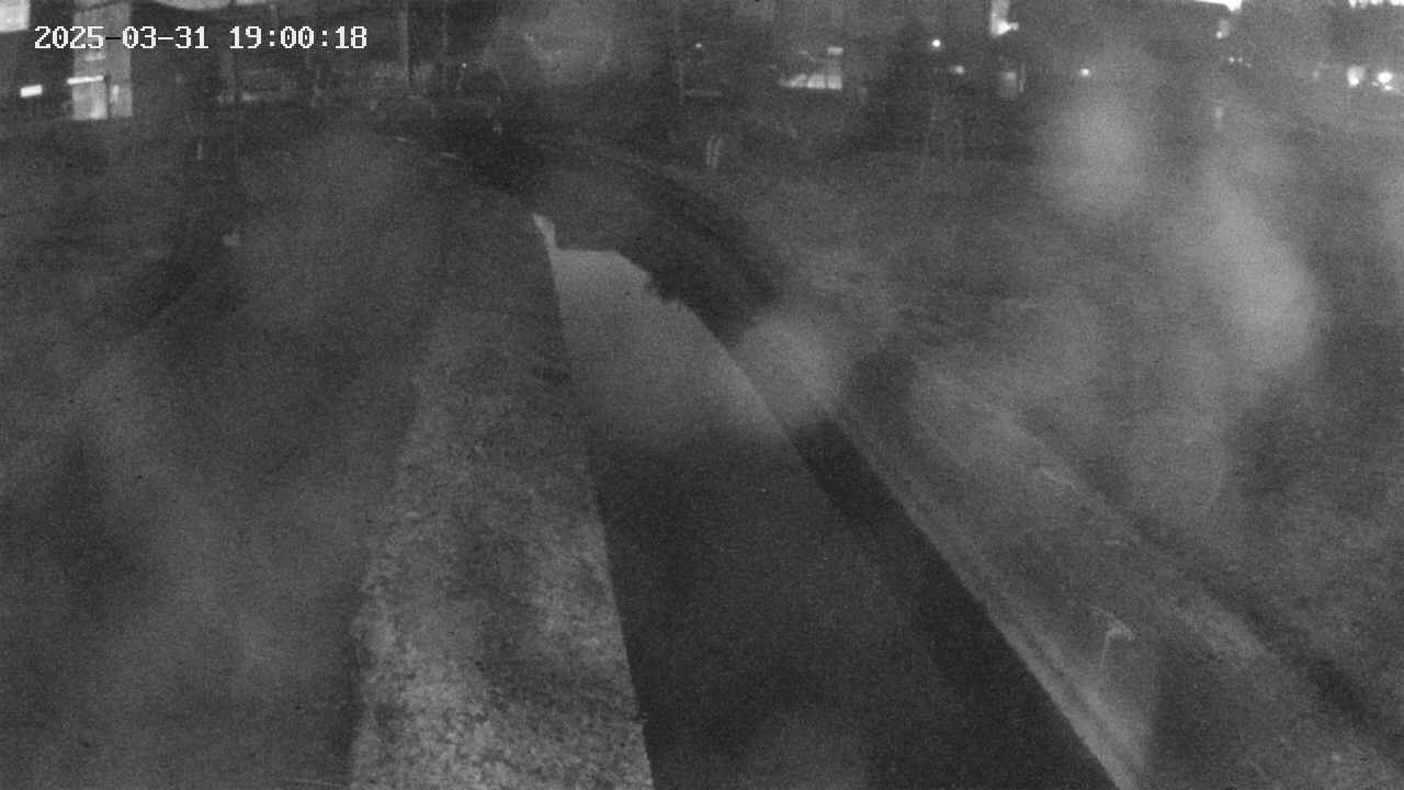 area9-20250331190020.jpg