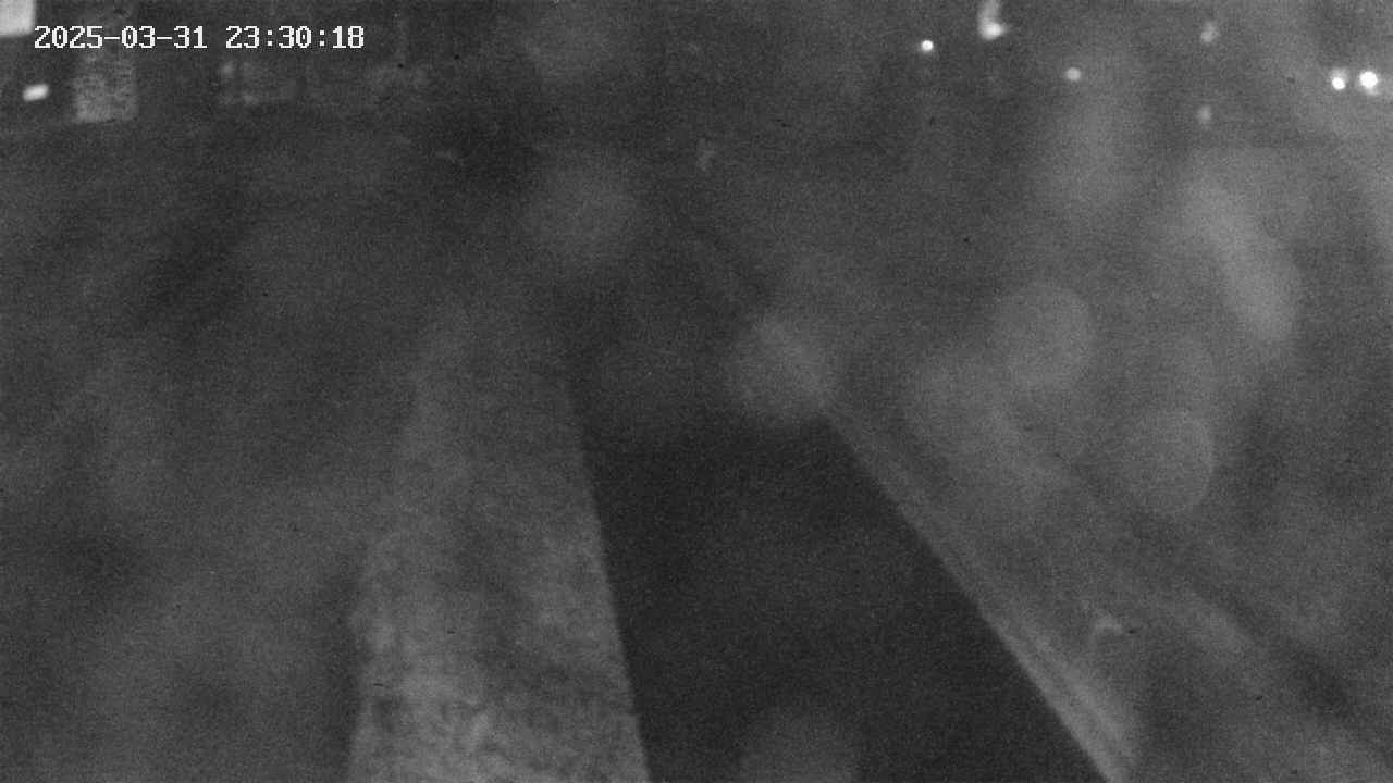 area9-20250331233020.jpg