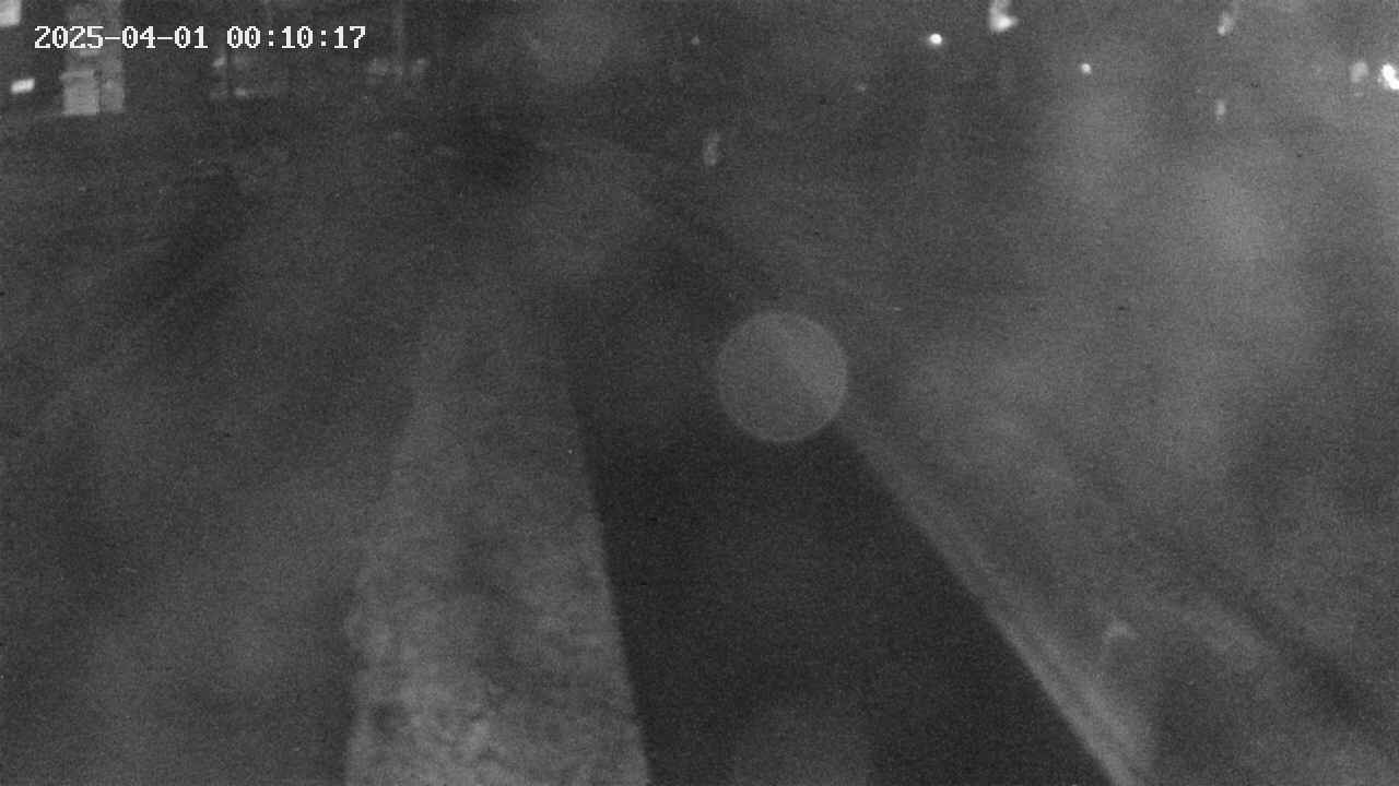 area9-20250401001018.jpg