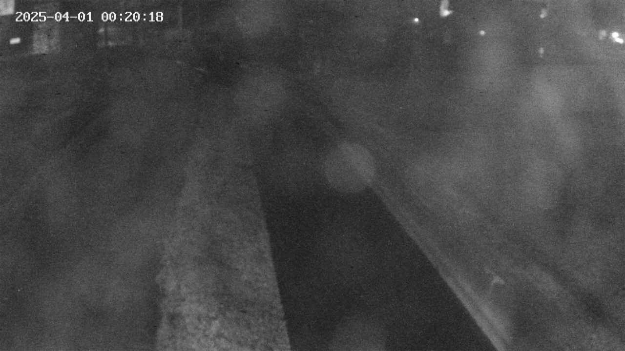 area9-20250401002020.jpg
