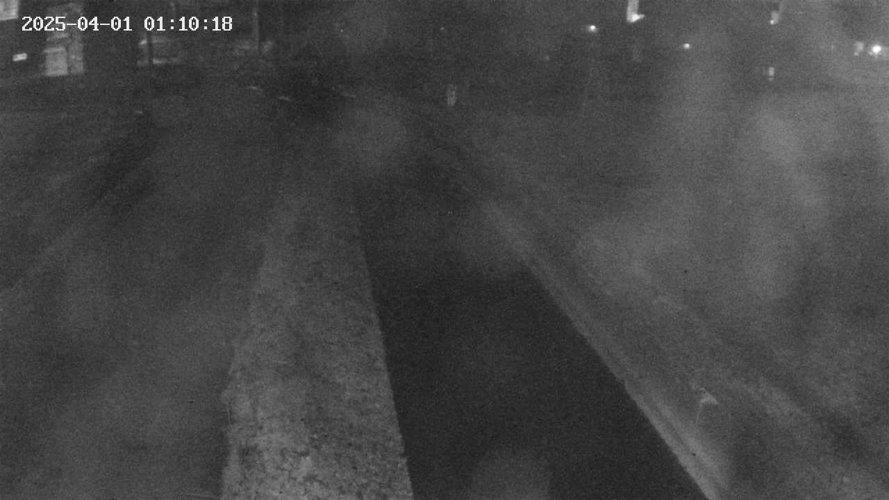 area9-20250401011020.jpg