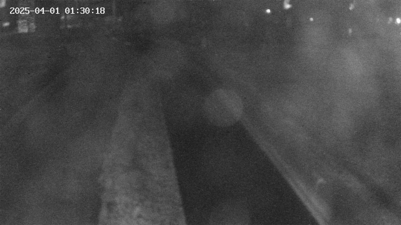 area9-20250401013020.jpg