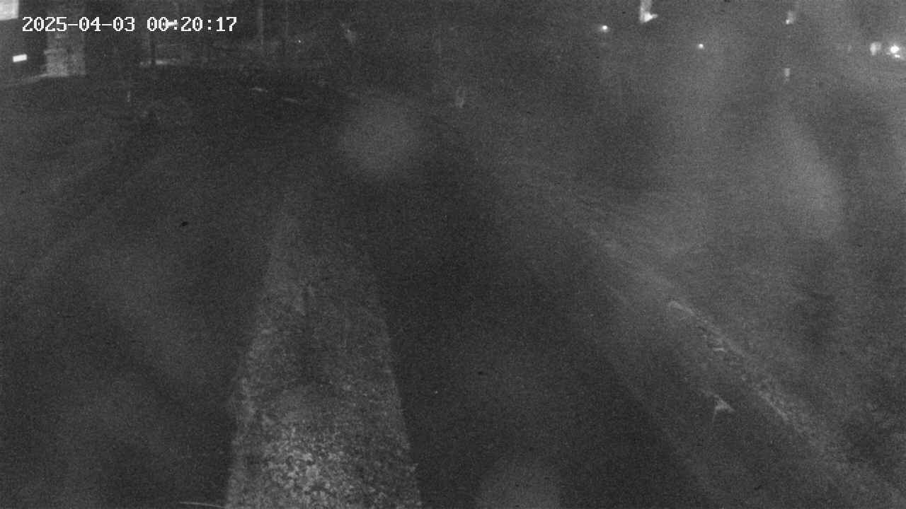 area9-20250403002018.jpg