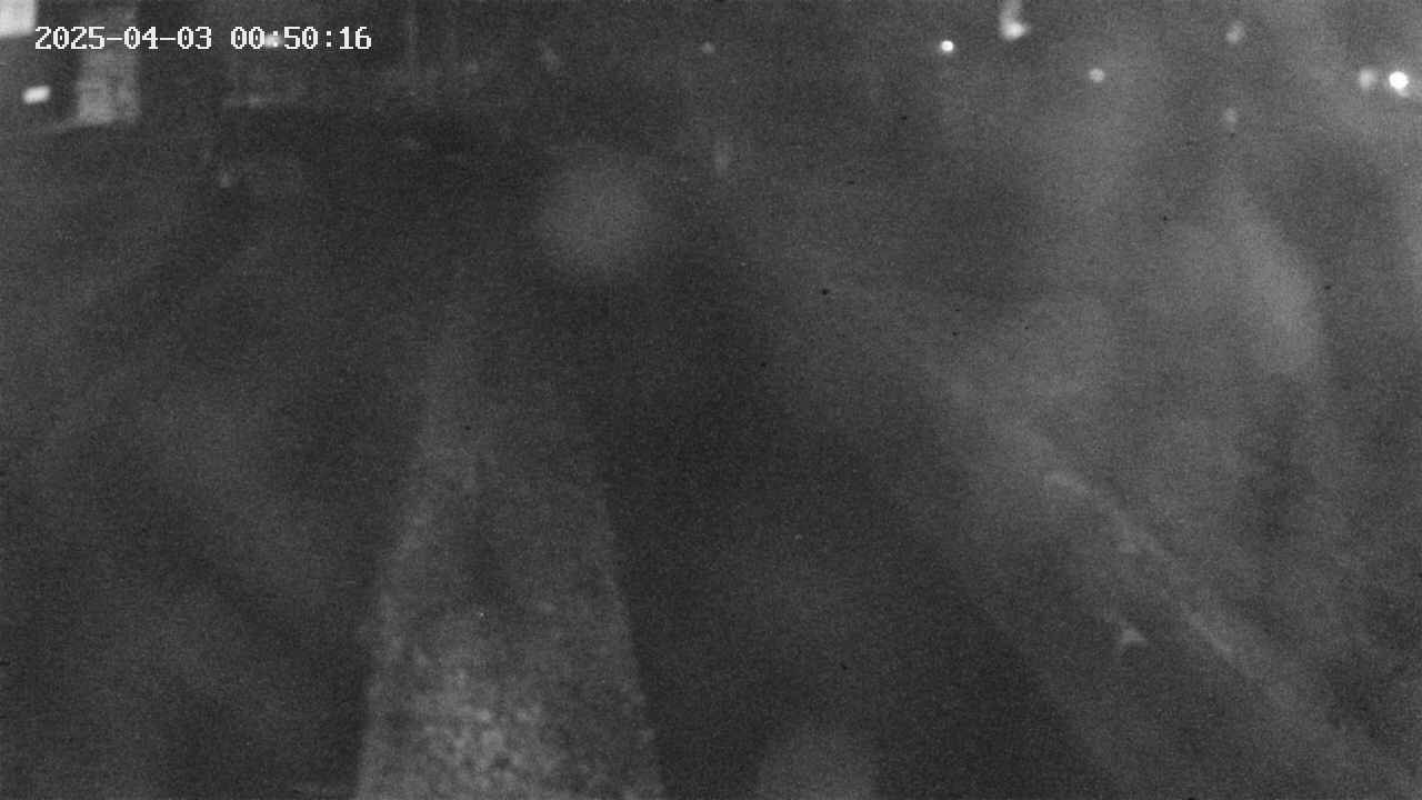 area9-20250403005017.jpg