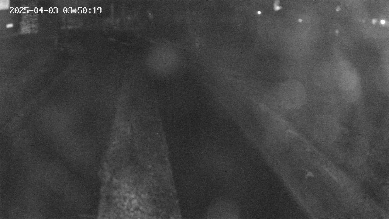 area9-20250403035019.jpg