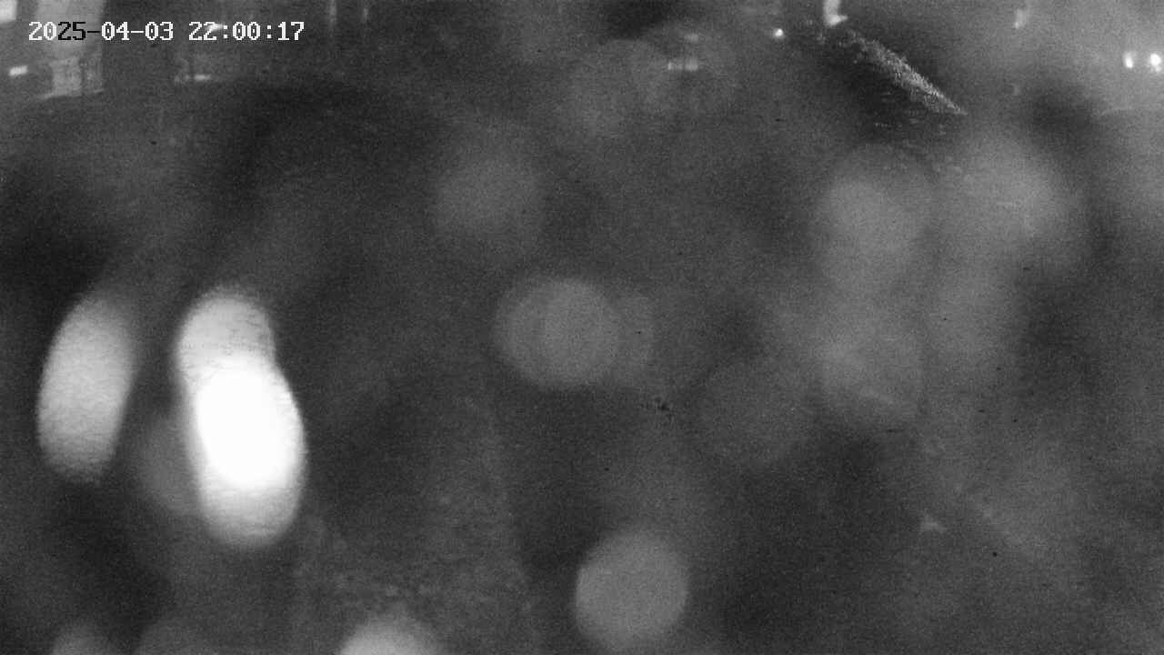 area9-20250403220018.jpg