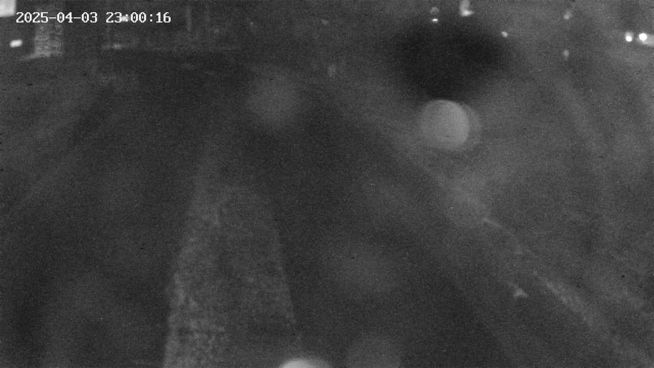area9-20250403230017.jpg