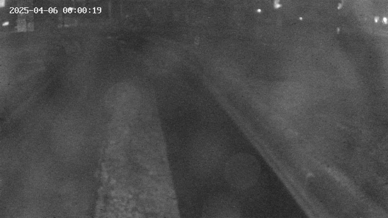 area9-20250406000021.jpg