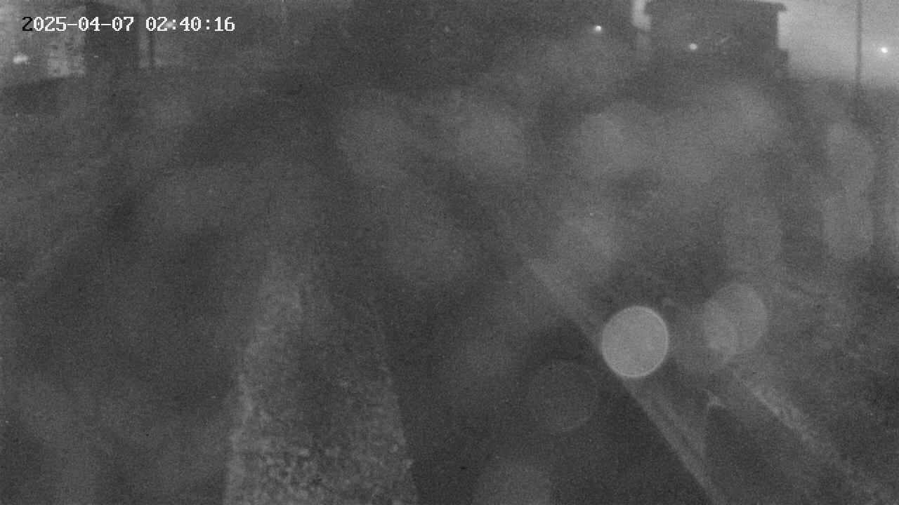 area9-20250407024018.jpg